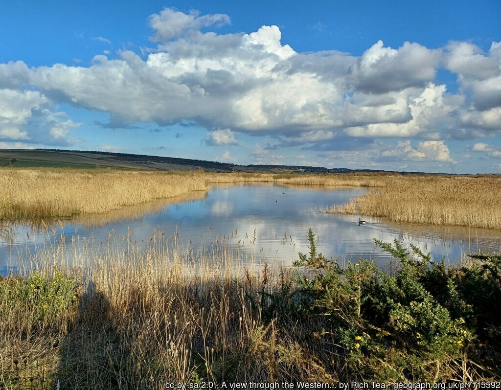 RSBP St Aidans view of the reedbeds